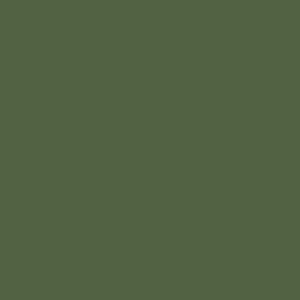 Juya Japanese Tant 209 D63