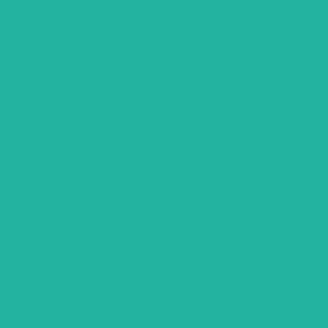 Juya Japanese Tant 216 F65