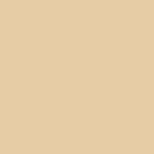 Juya Japanese Tant 701 E55