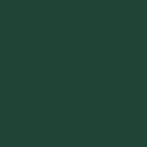 Juya 54 Forest Green quilling paper