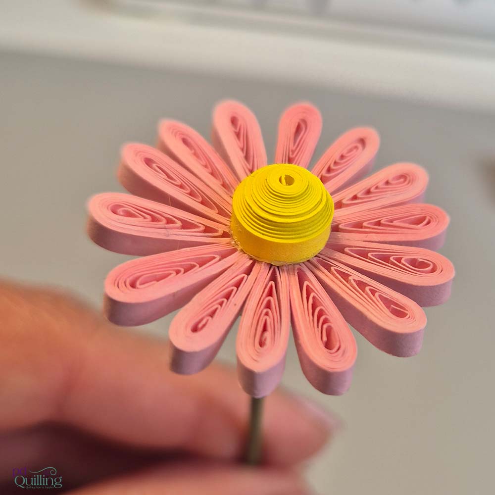 3D Gerbera Basket Flower 3D Gerbera Basket Flower